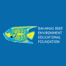 BREEF - Bahamas Reef Environmental Educational Foundation